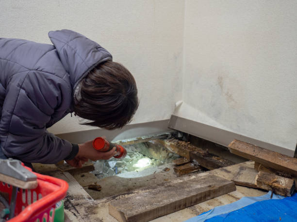 Best Post-Construction Mold Inspection  in Vinings, GA