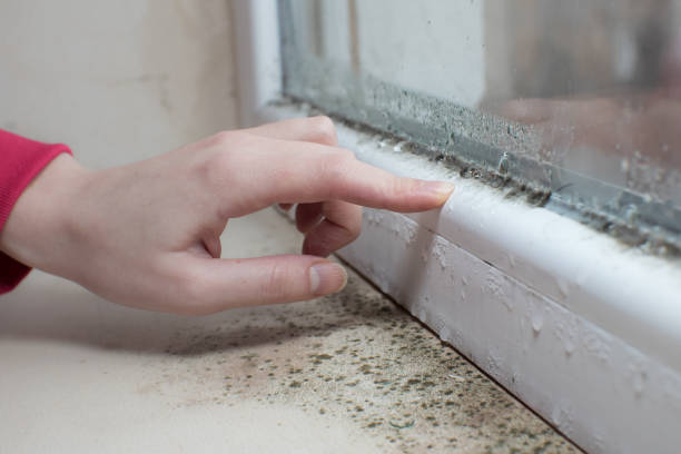 Best Mold Remediation for Vacation Homes  in Vinings, GA