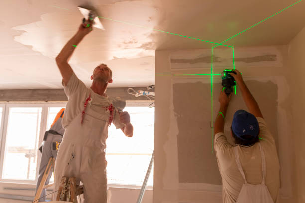 Best Attic Mold Removal  in Vinings, GA