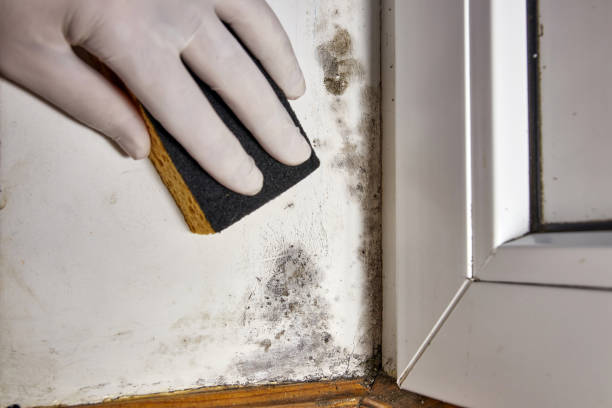 Best Indoor Air Quality Assessment  in Vinings, GA