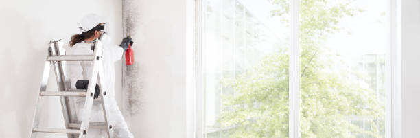 Best Emergency Mold Remediation  in Vinings, GA